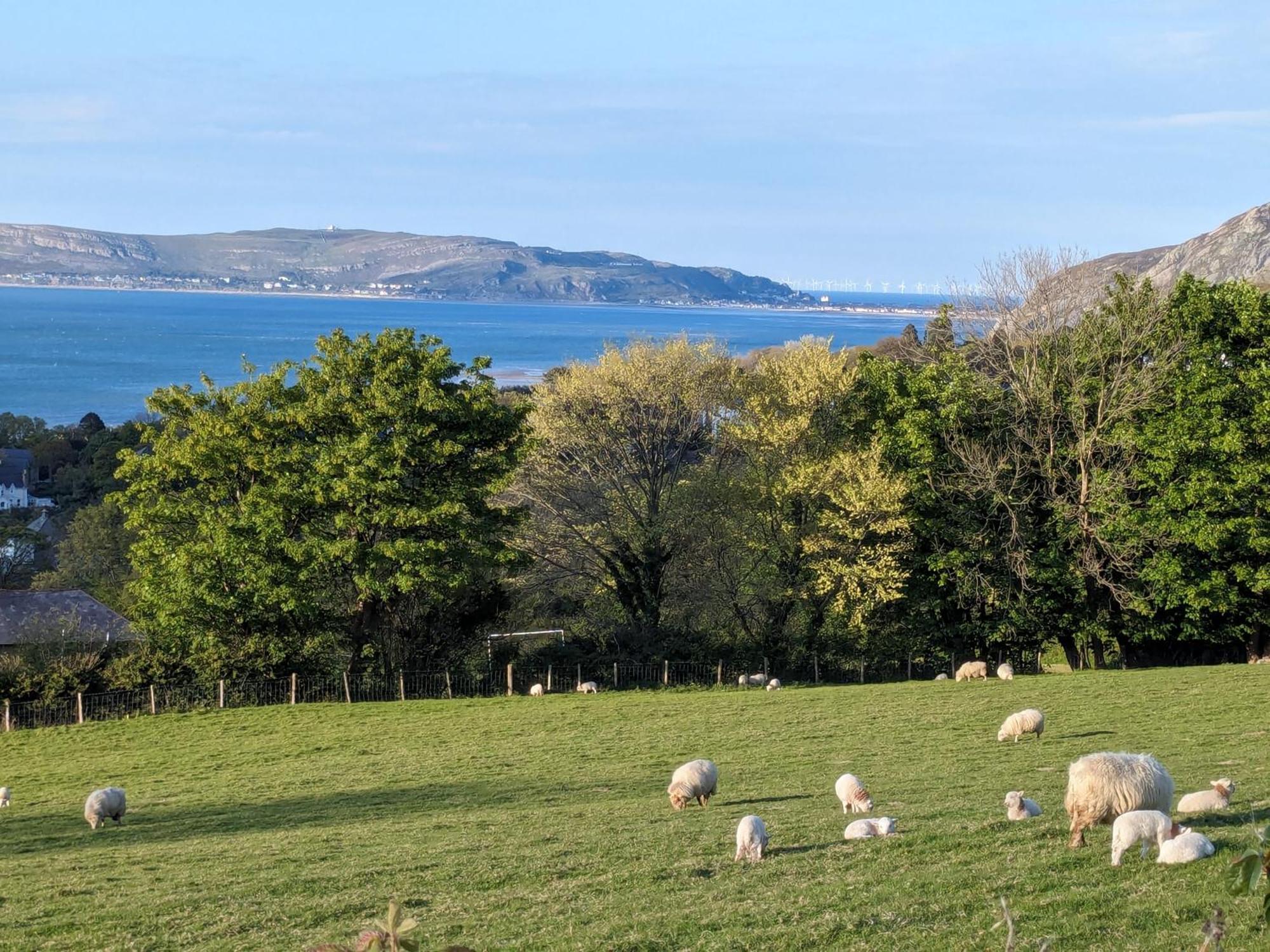 Fantastic Sea Views At Century'S Old Alma'S Cottage - Sleeps Up To 8 Guests Penmaen-mawr Eksteriør bilde