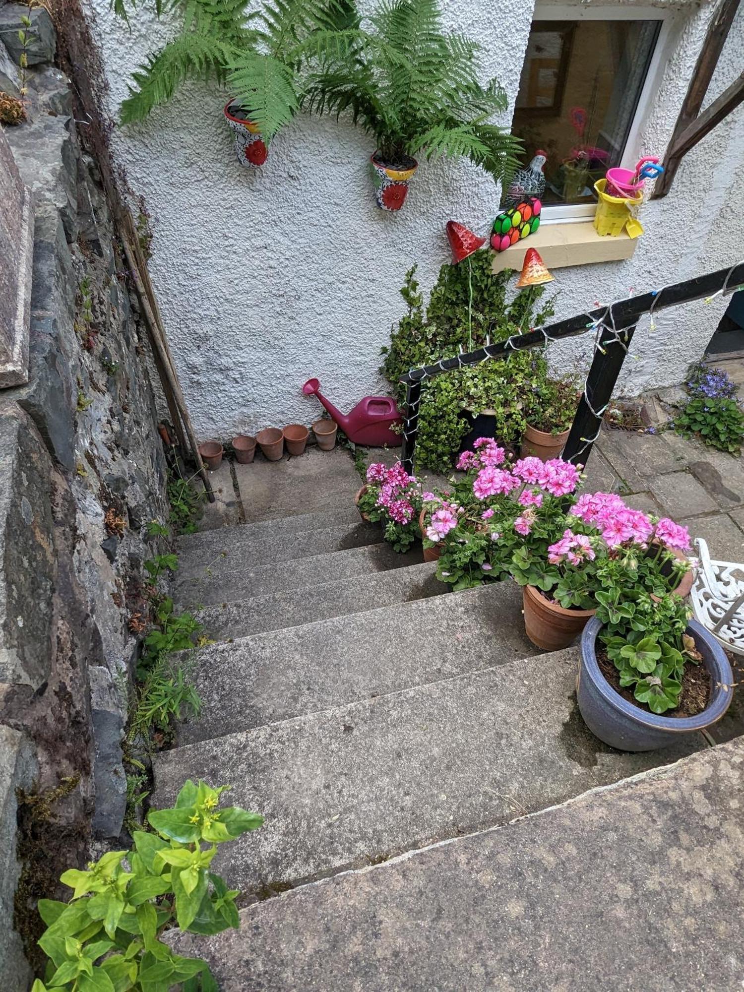 Fantastic Sea Views At Century'S Old Alma'S Cottage - Sleeps Up To 8 Guests Penmaen-mawr Eksteriør bilde